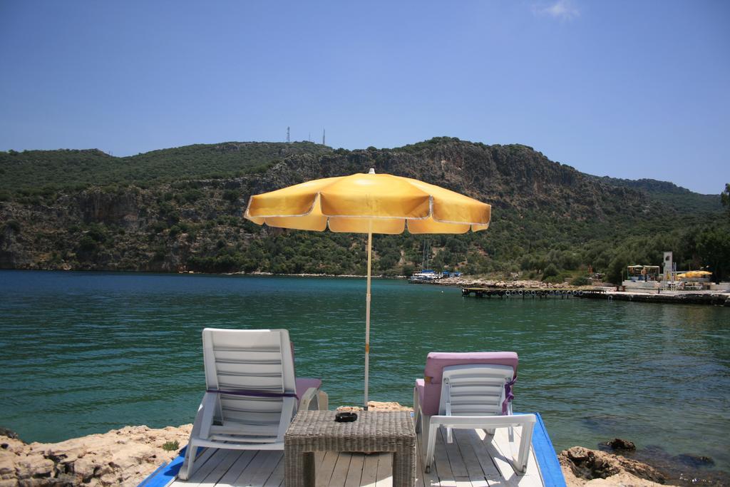 Delos Kas