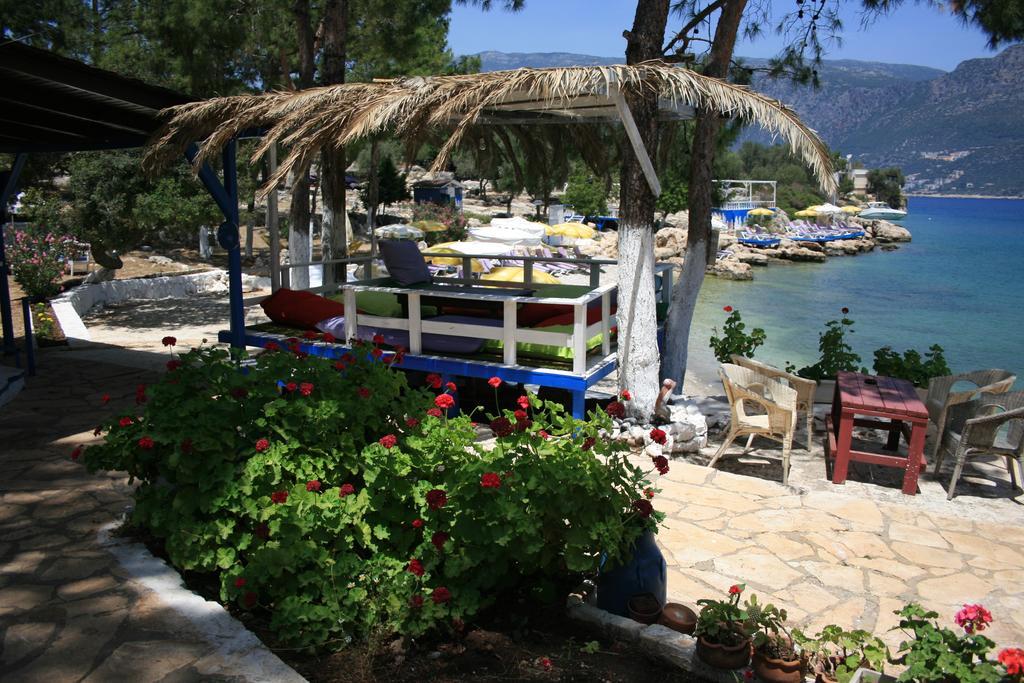 Bed & Breakfast Delos