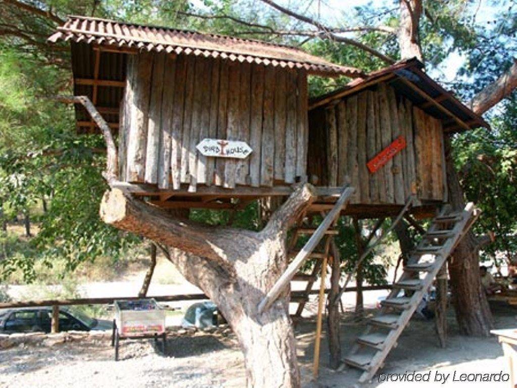 Holiday park Turkmen Tree Olympos