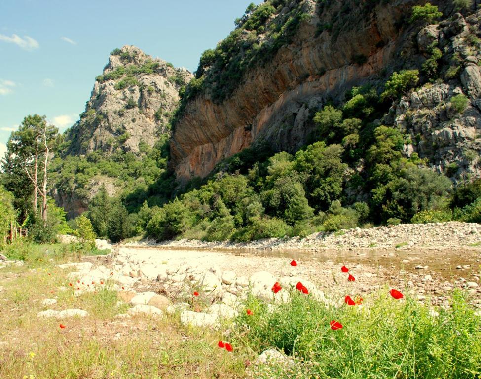 Dionysos 3* Cirali