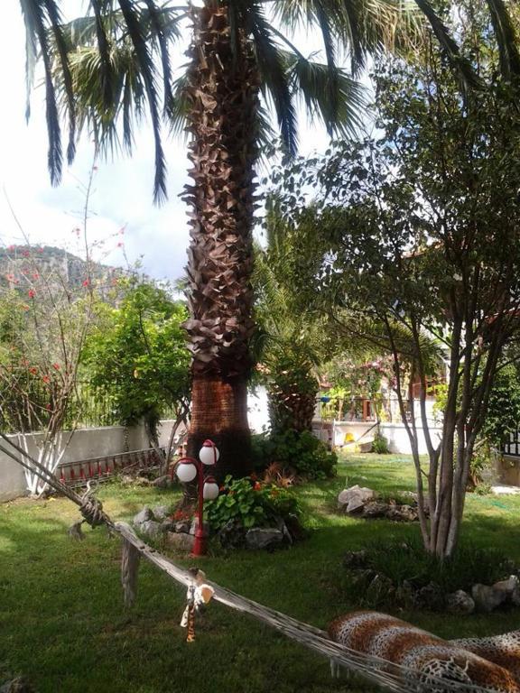 B.c. Alya Aparthotel 2*