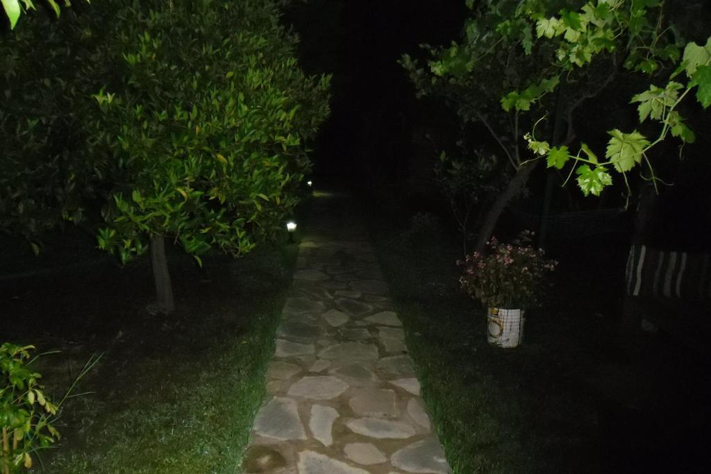 Guest house Cesur Pansiyon 2*