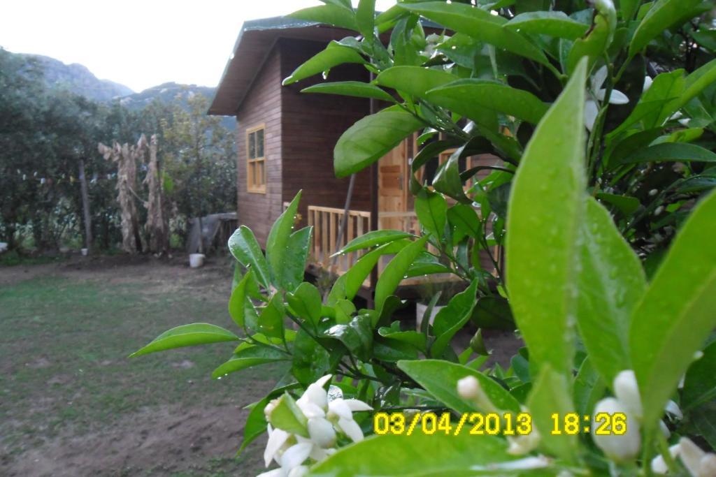Cesur Pansiyon 2* Cirali