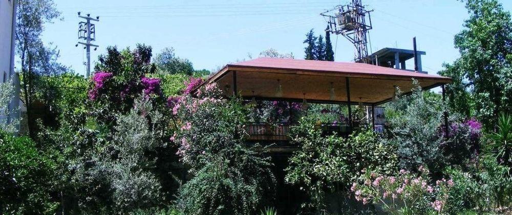 Bed & Breakfast Eucalyptus 2*