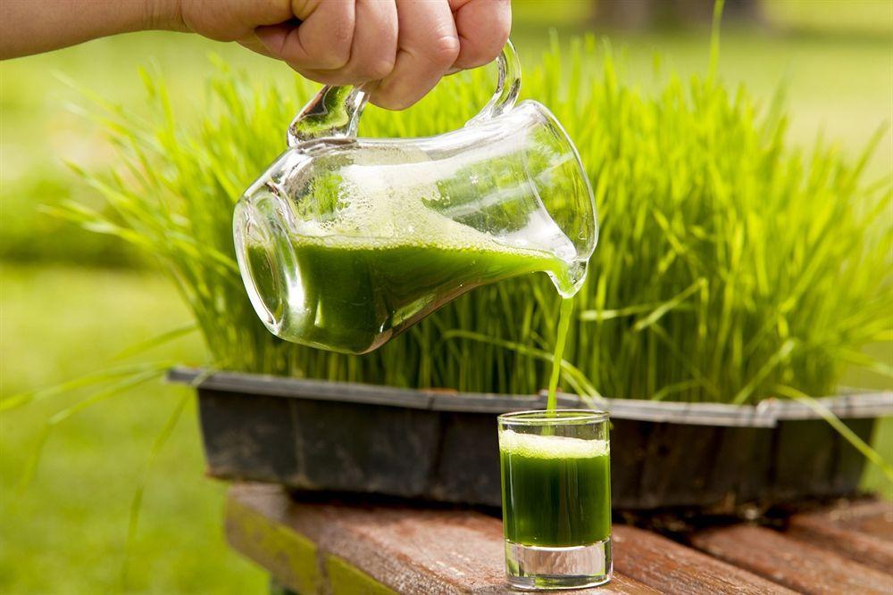 Natur-med Hot Springs And Health 3*