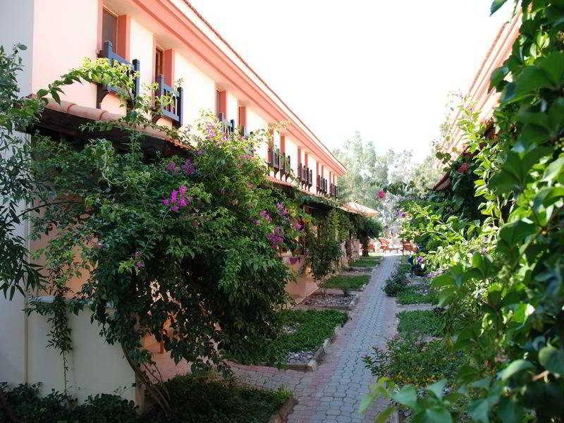 Portakal Dalyan