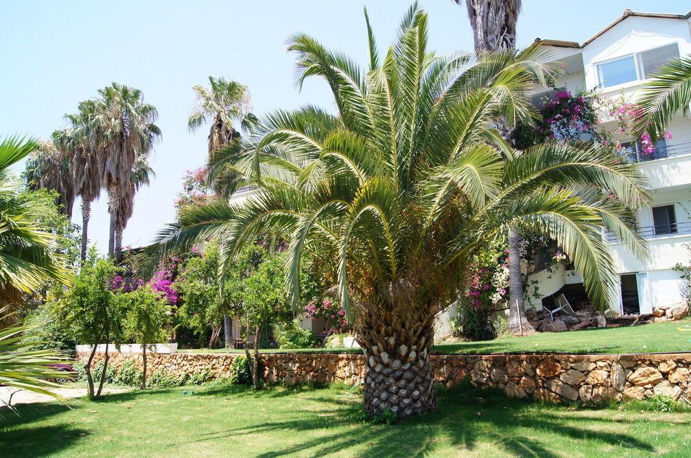 Pataros Hotel Hotel 2*