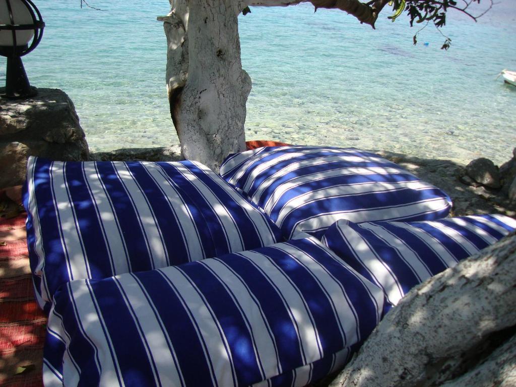Mavi Akvaryum Pension Guest house