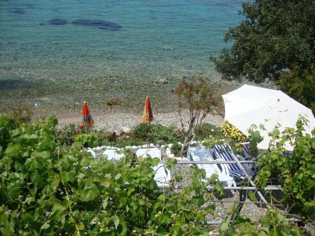 Mavi Akvaryum Pension *