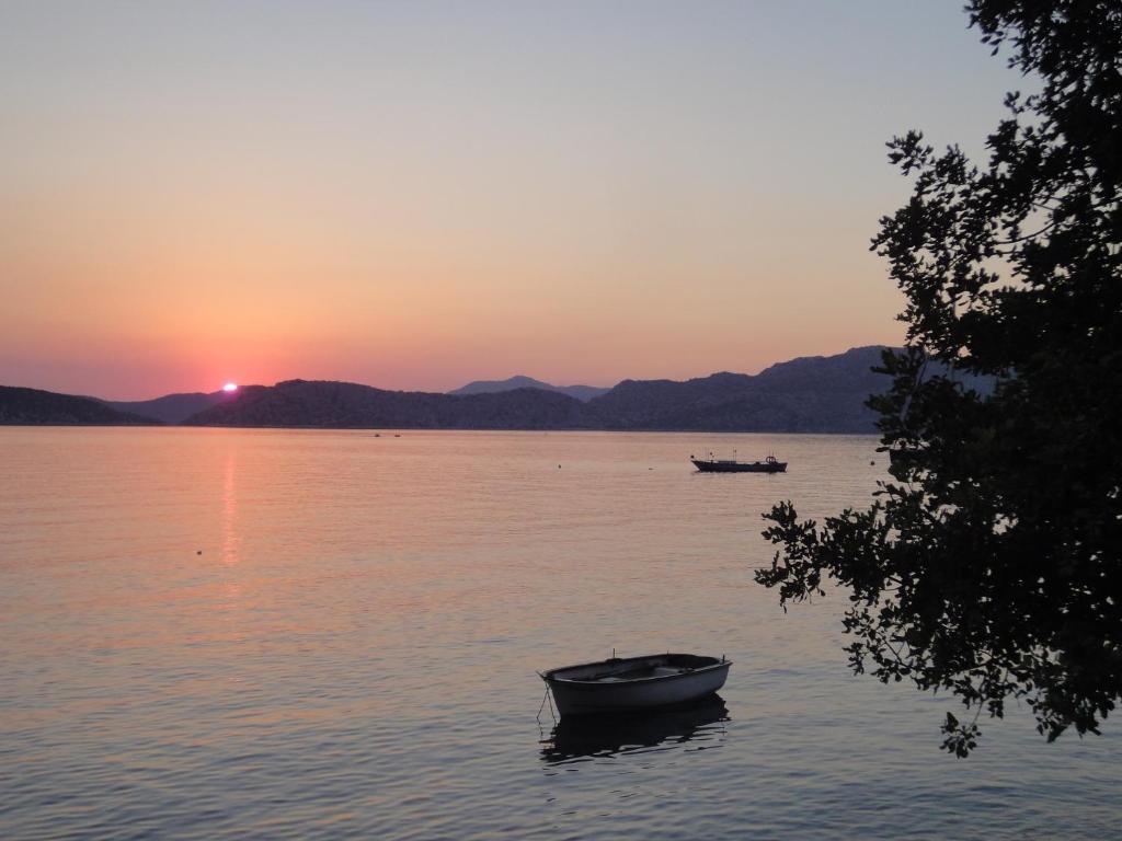Mavi Akvaryum Pension Guest house