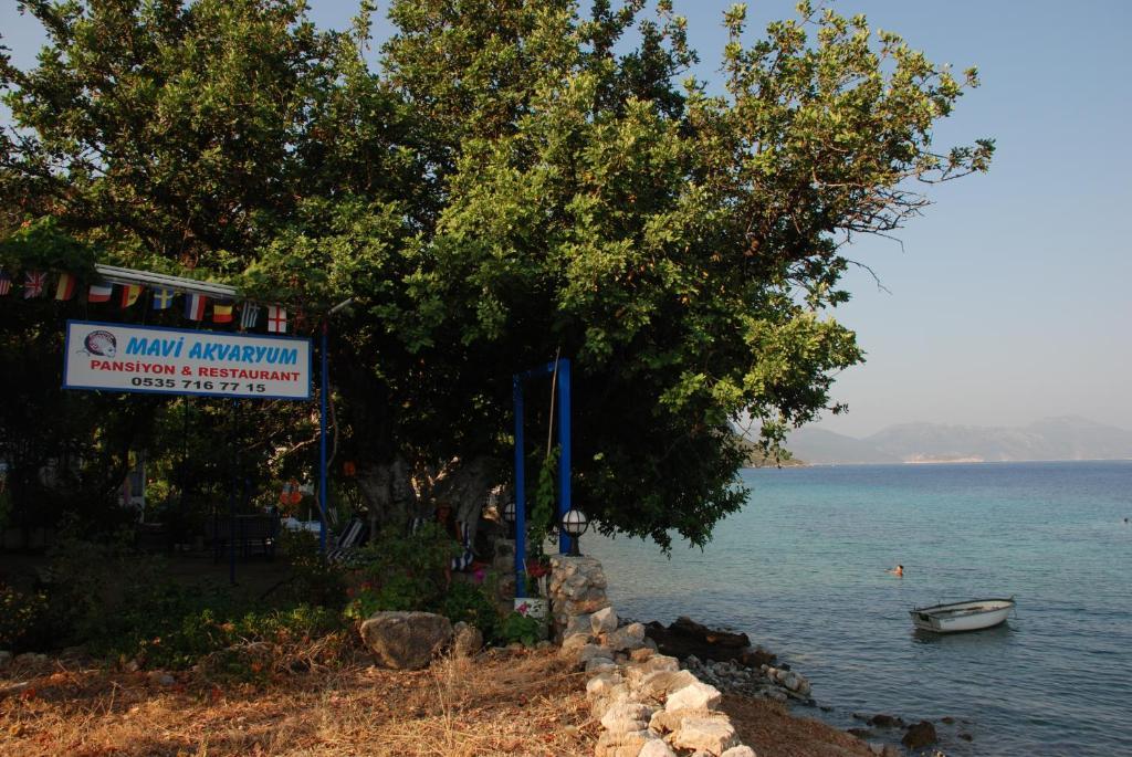 Guest house Mavi Akvaryum Pension Sogut (Aegean)