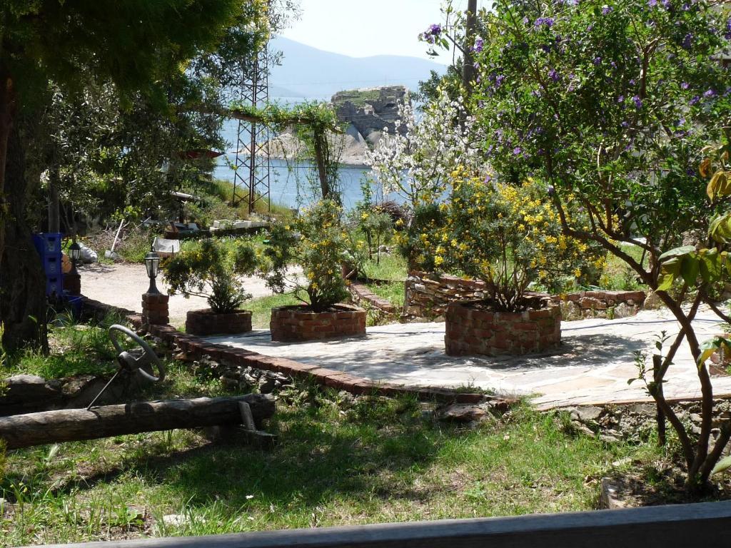 Selenes Guest house