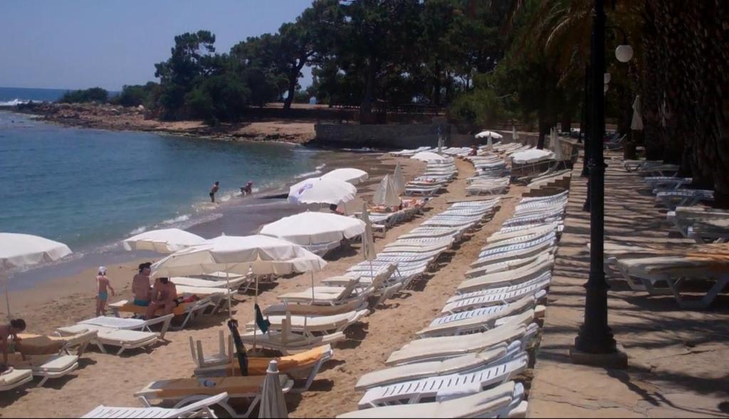 Alara Park Hotel