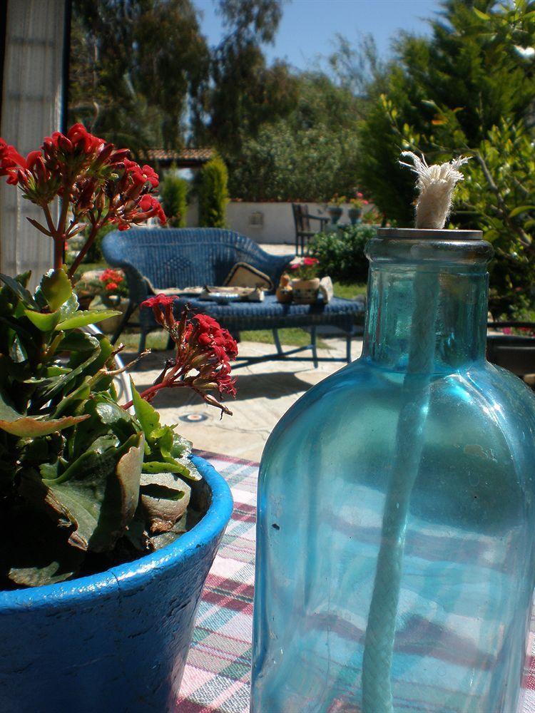Bakkhos Guest house Kusadasi
