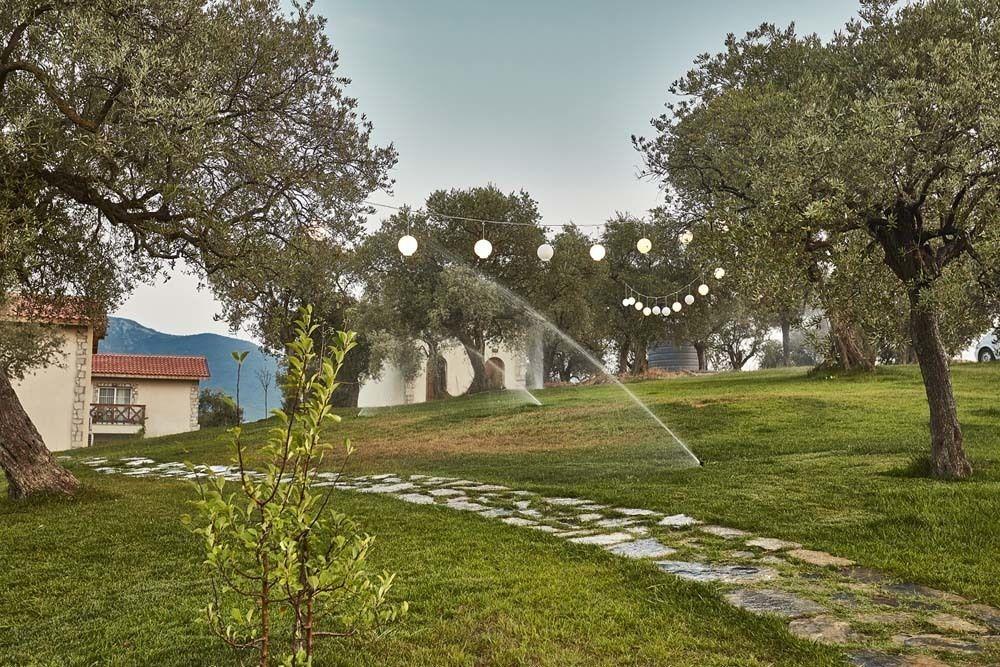 Vinifera Vineyards Selcuk