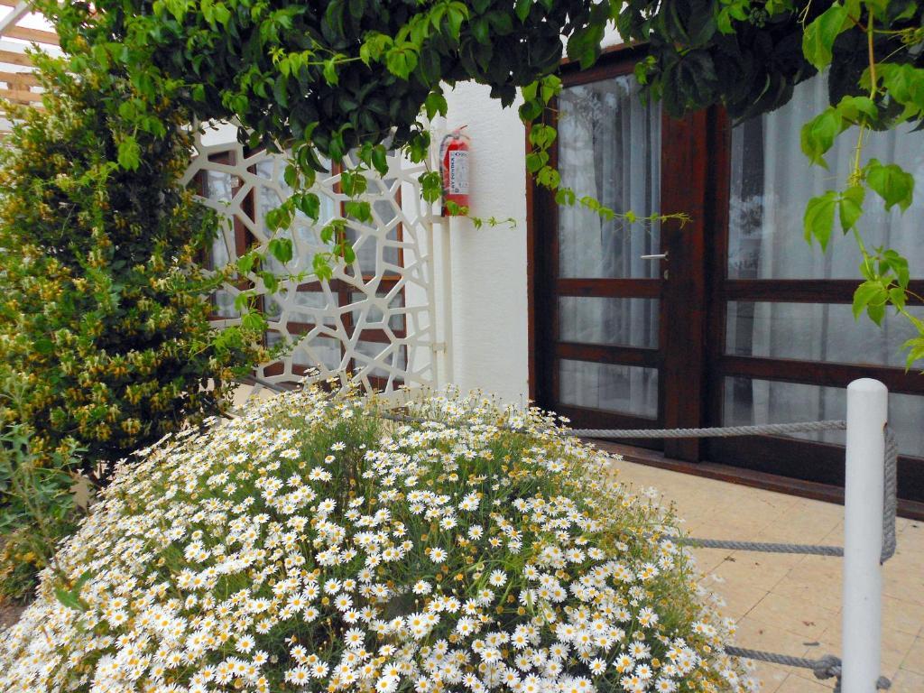 Hotel Aytas Ayvalik