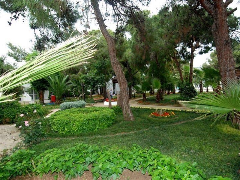 Maya Golf (adults Only)