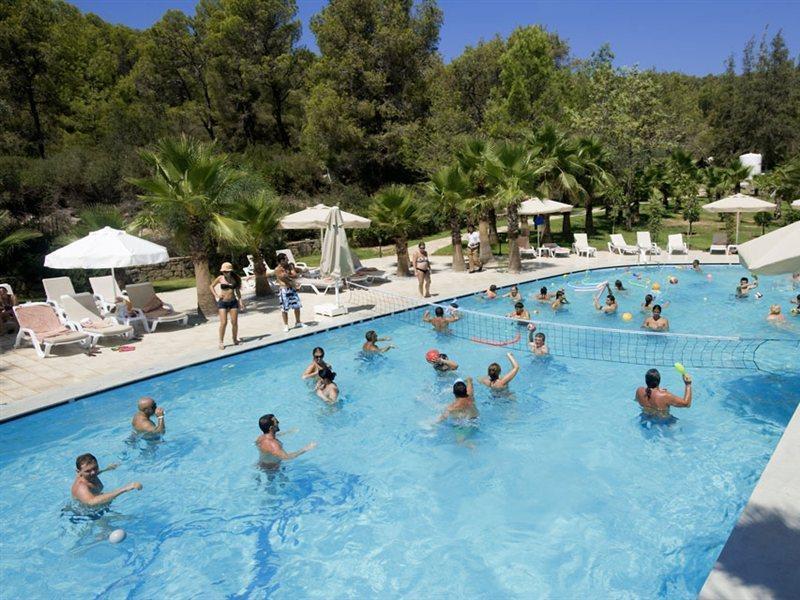 Bay & Guvercinlik (Bodrum)