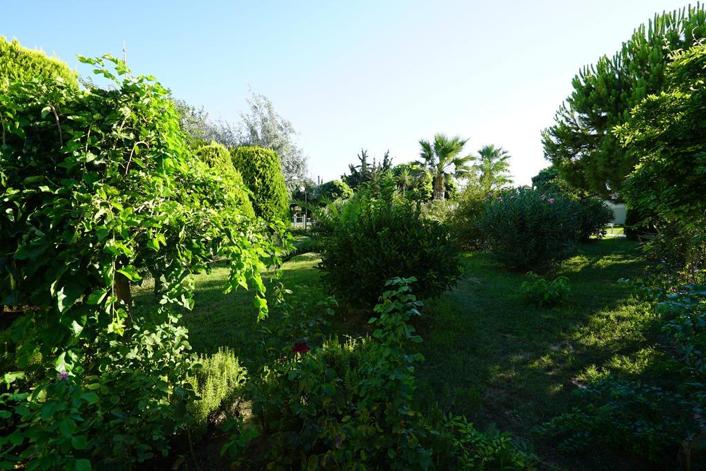 Palm Wings Didim