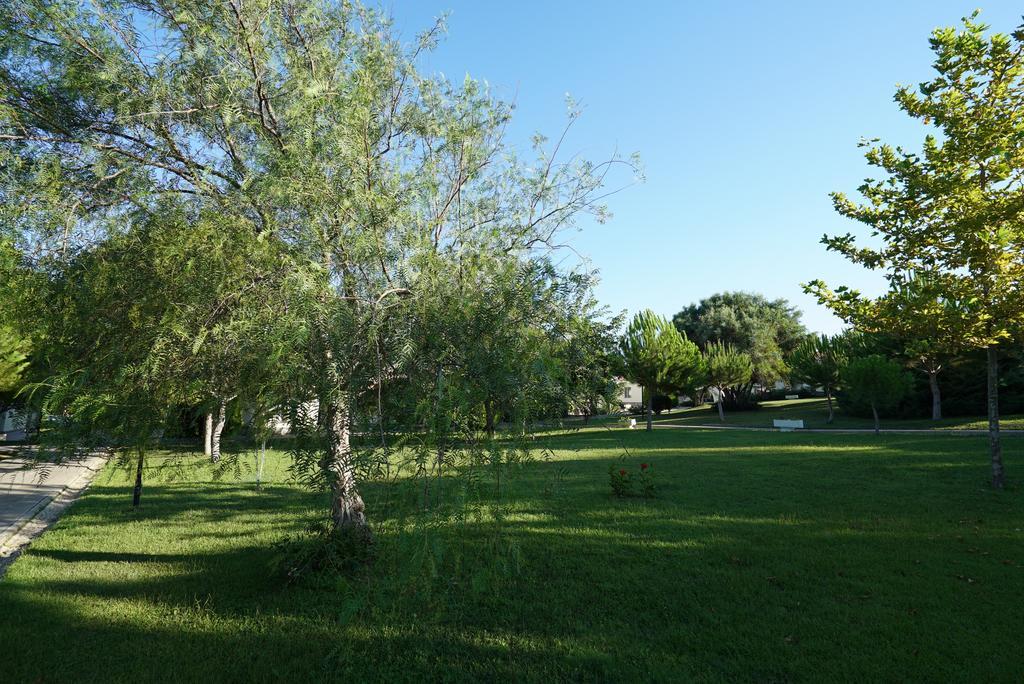 Resort Palm Wings Didim