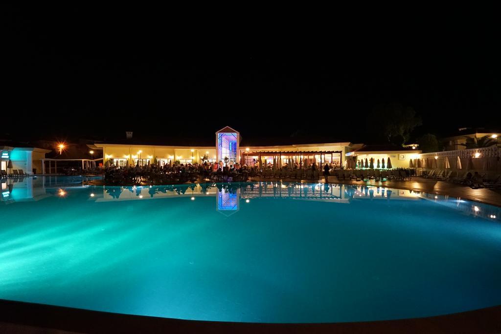Resort Palm Wings