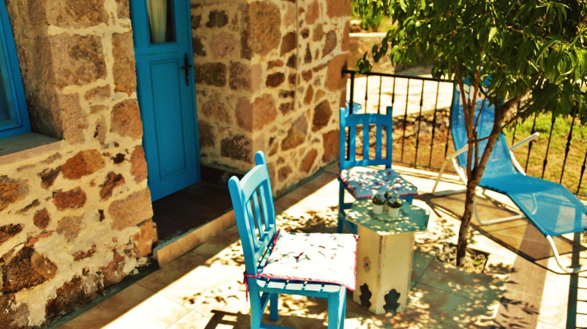 Alterna Koey Evi