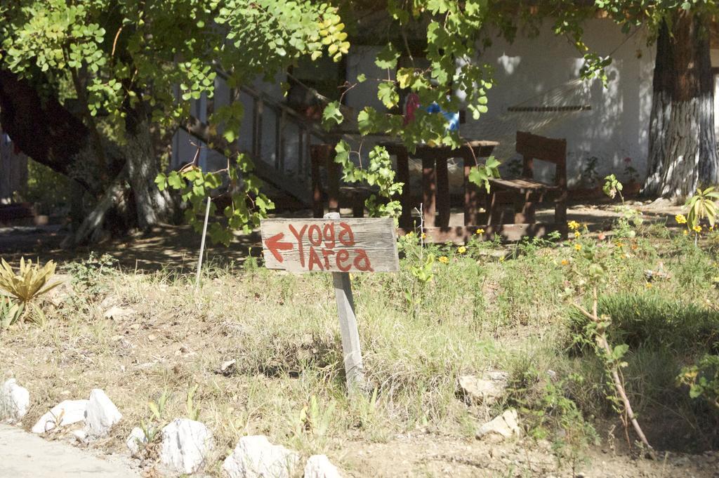 Yuva Eco Holiday Yoga Retreat