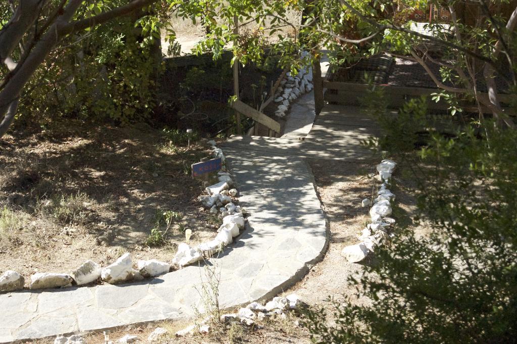 Yuva Eco Holiday Yoga Retreat