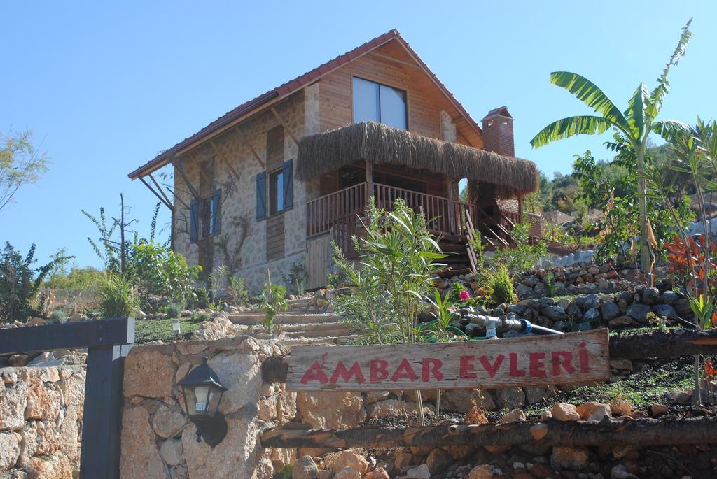 Ambar Evleri * Kalkan
