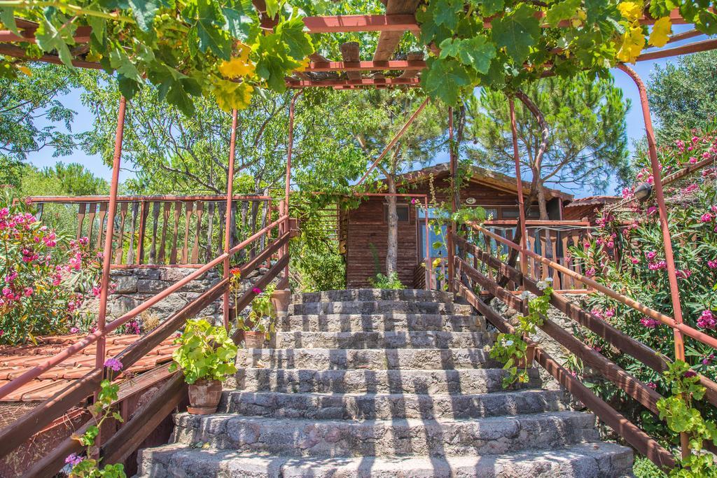 Guest house Terrace 2*