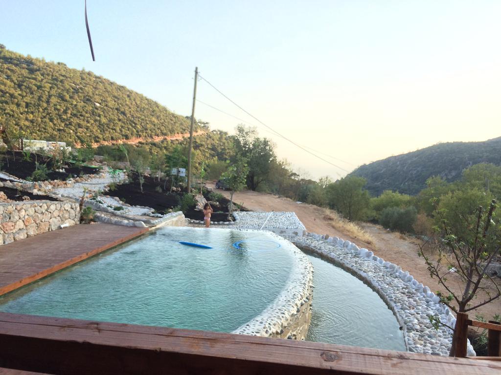 Ambar Evleri
