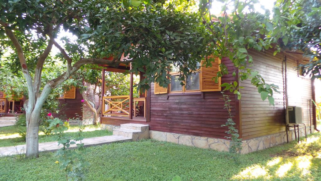 Bed & Breakfast Mercan 3*
