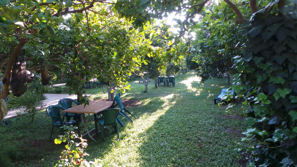 Mercan Bed & Breakfast