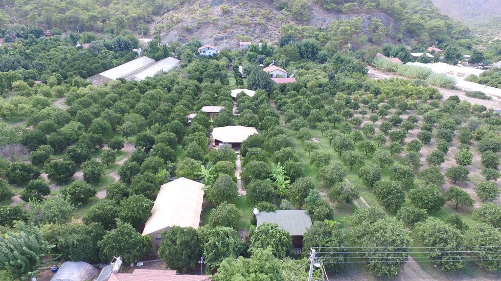 Luxury tent Campo Portakal Eco Glamping *