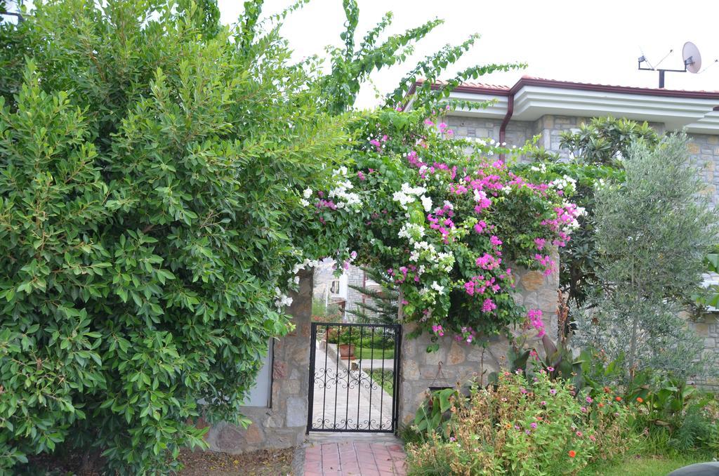Mercan * Datca