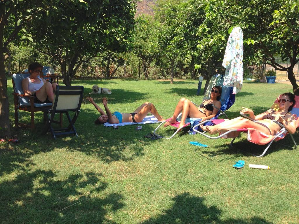 Friends Pension&camping *