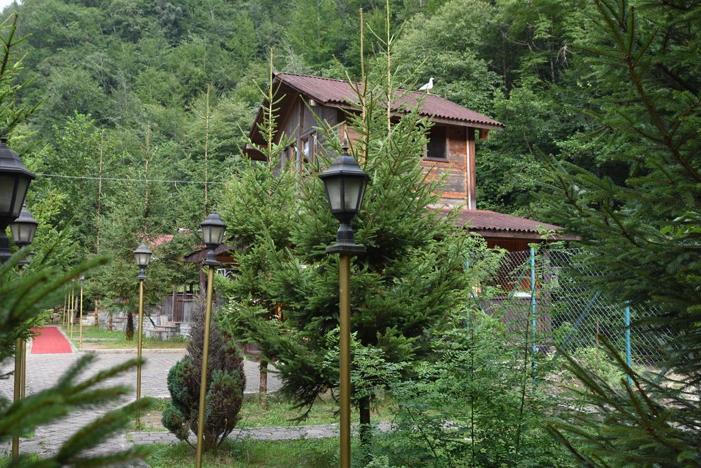 Homestay Isikli Kale Caykara