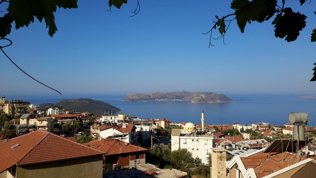 Sevgi