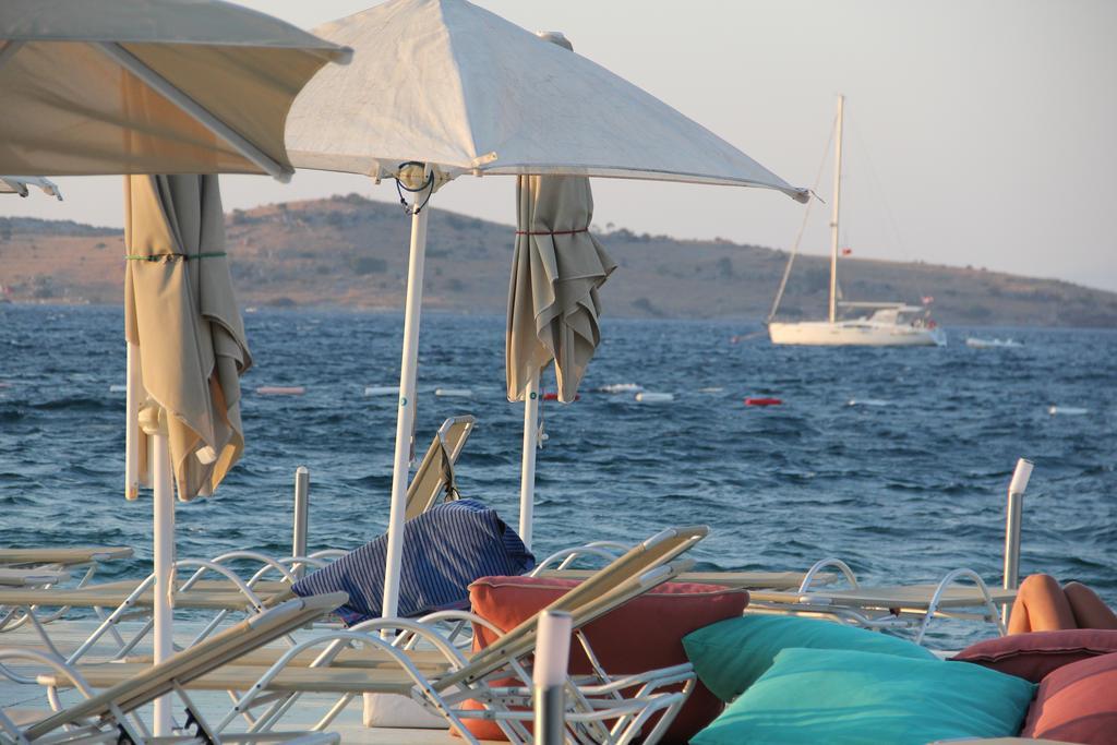 Golkoy