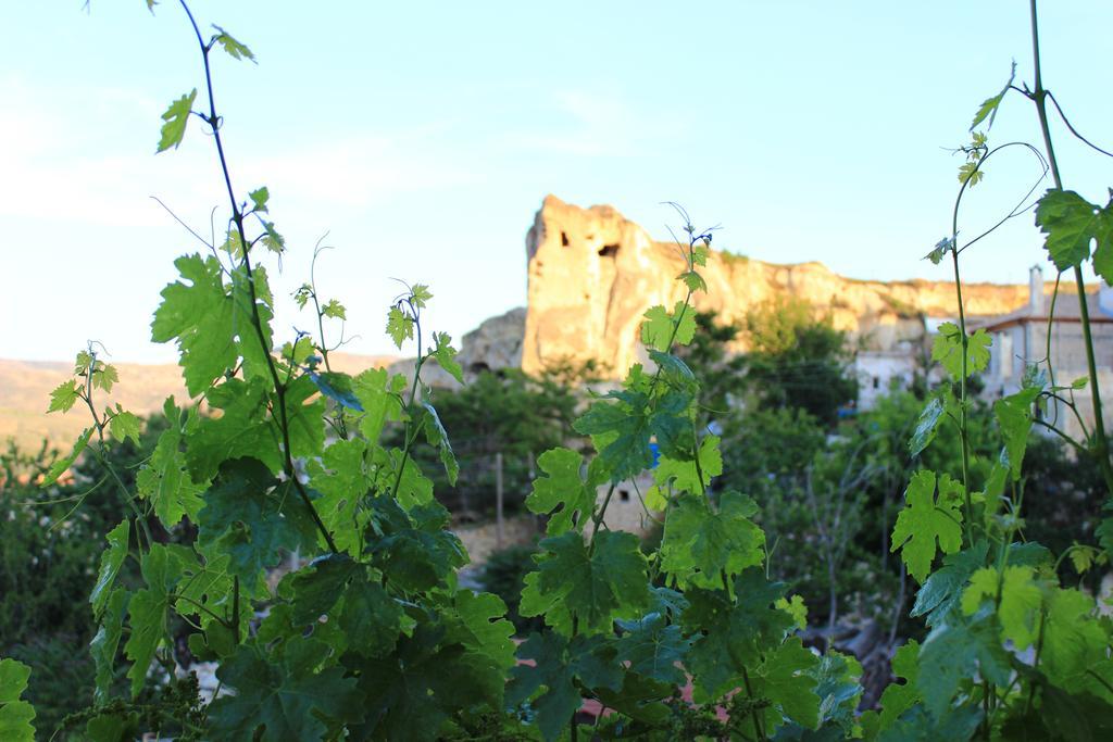 Hotel Elif Stone House Urgup