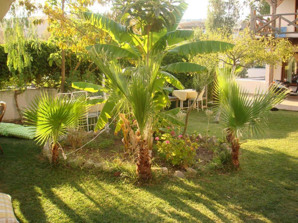 Borabora Bitez
