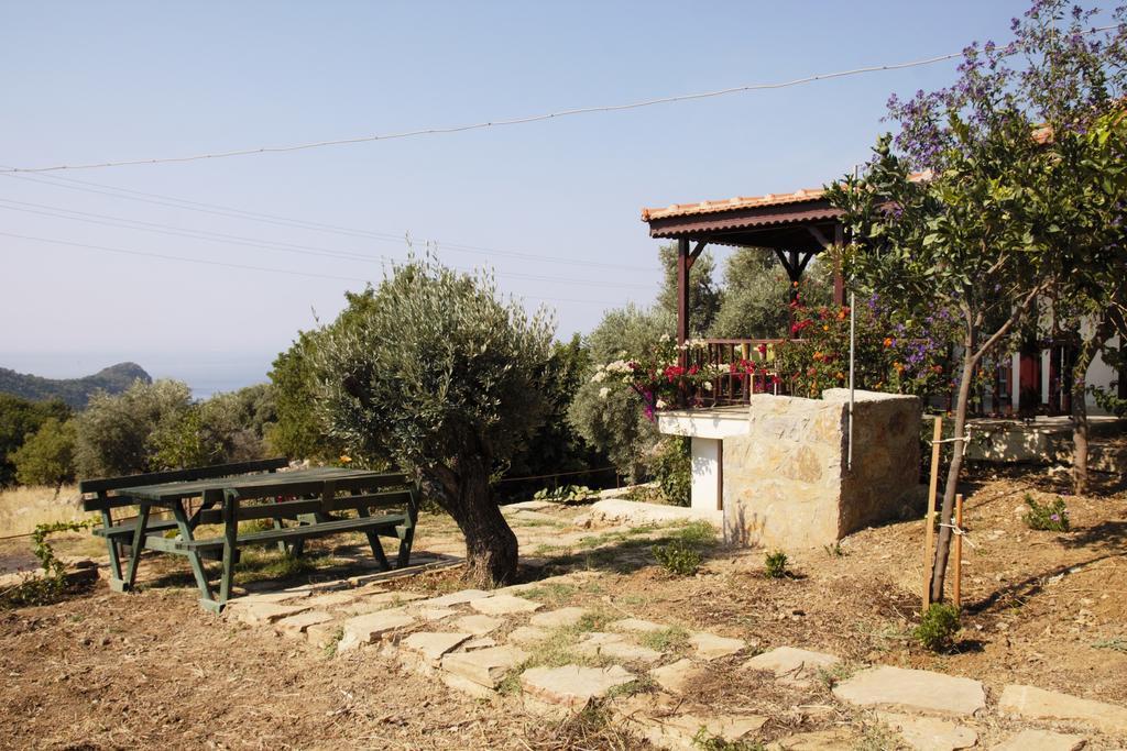 Apartment Avlana House *