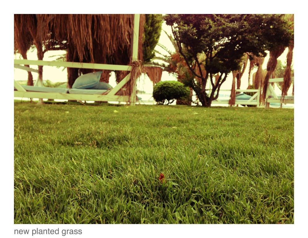 Erol - Adult Only 3* Ayvalik