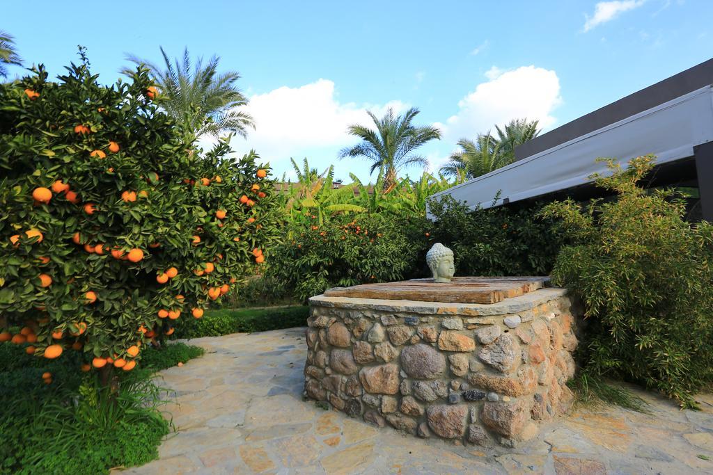 The Lifeco Bodrum Well-Being Detox Center And Vegan Hotel (Adults Only) 3* Golturkbuku