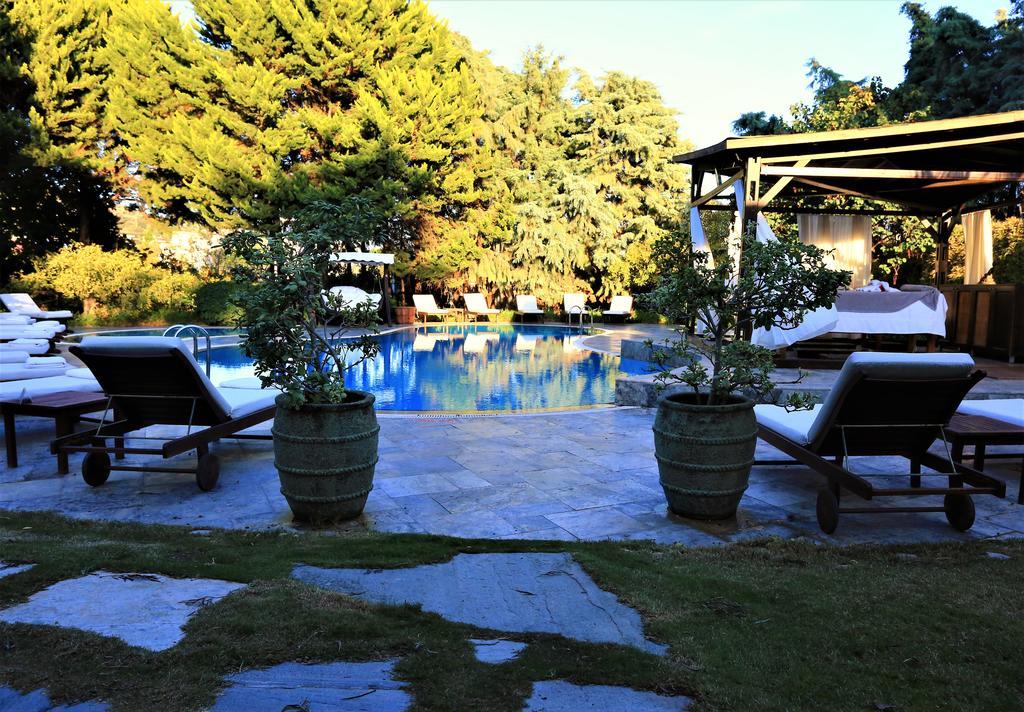 The Lifeco Bodrum Well-Being Detox Center And Vegan Hotel (Adults Only)