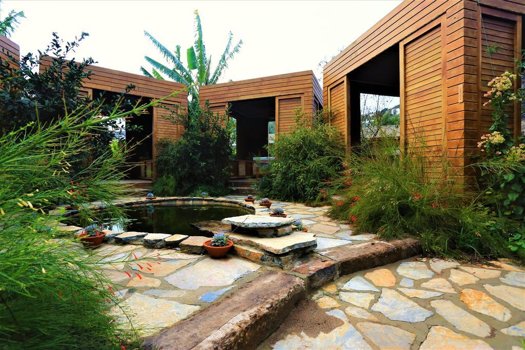 Hotel The Lifeco Bodrum Well-Being Detox Center And Vegan Hotel (Adults Only) Golturkbuku