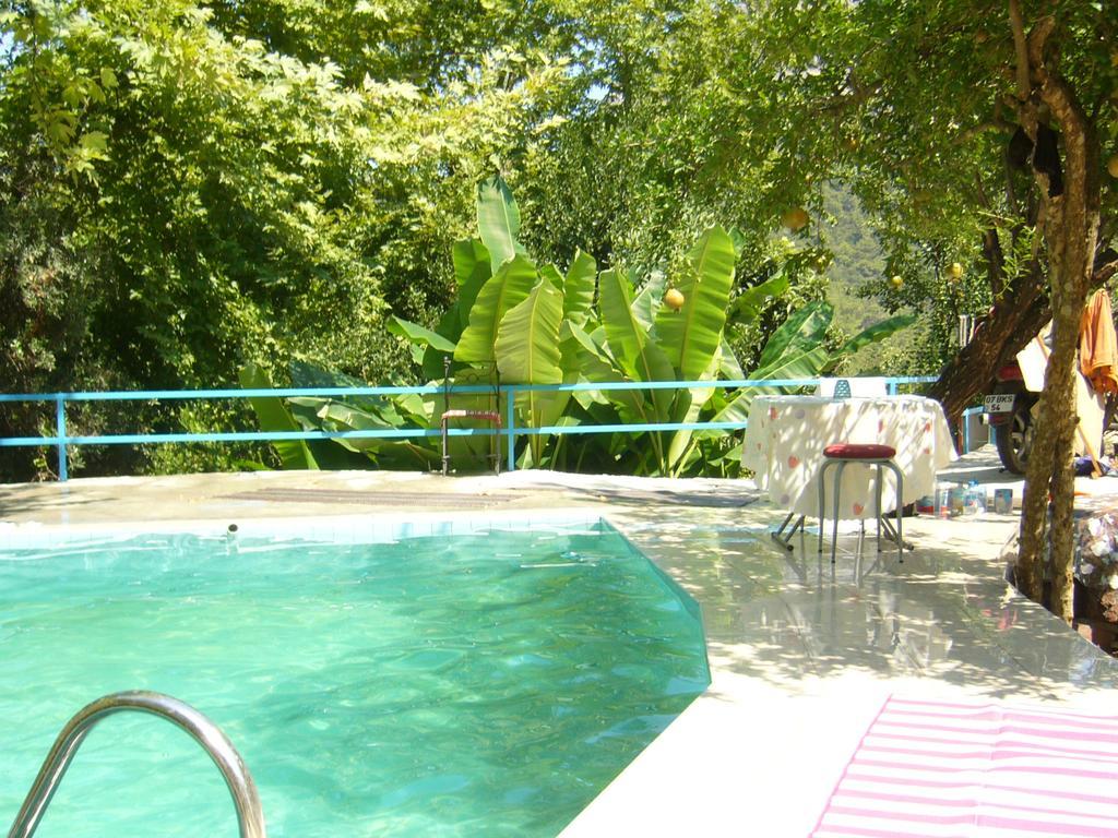 Waldvilla Apartment