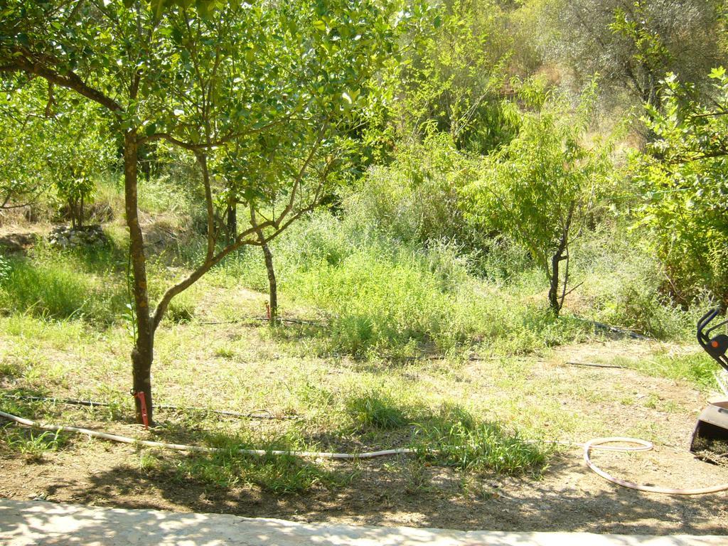 Apartment Waldvilla