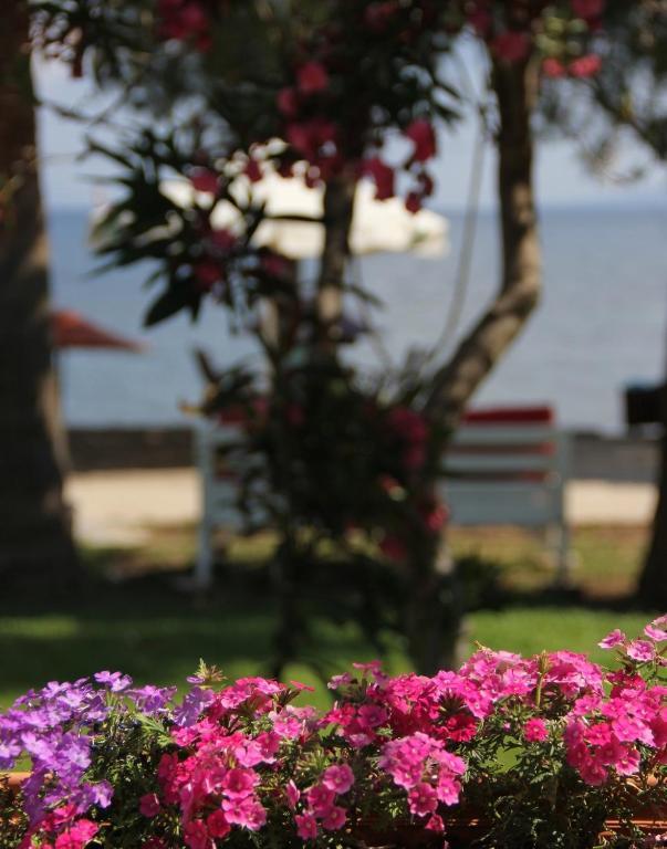 Yilmaz Hotel
