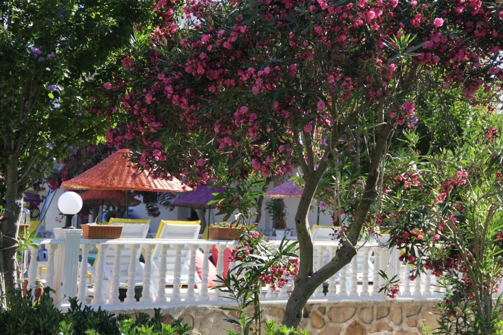 Yilmaz Ortakent